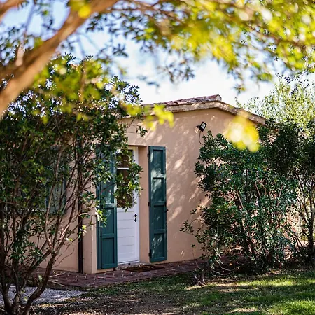 La Monteduccia * Ostra Vetere