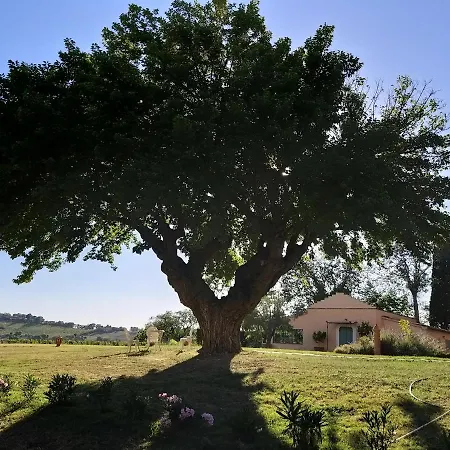 ベッド・アンド・ブレックファスト La Monteduccia