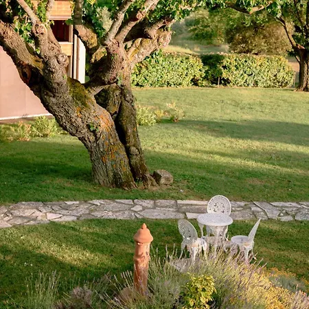 La Monteduccia Ostra Vetere