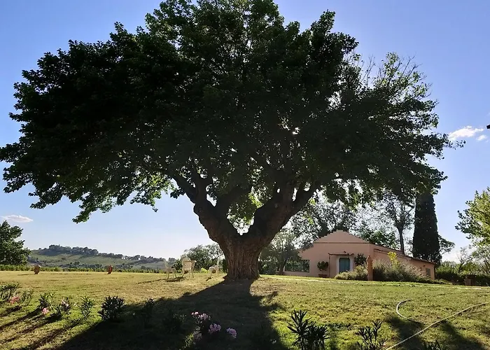 Oda ve Kahvaltı La Monteduccia